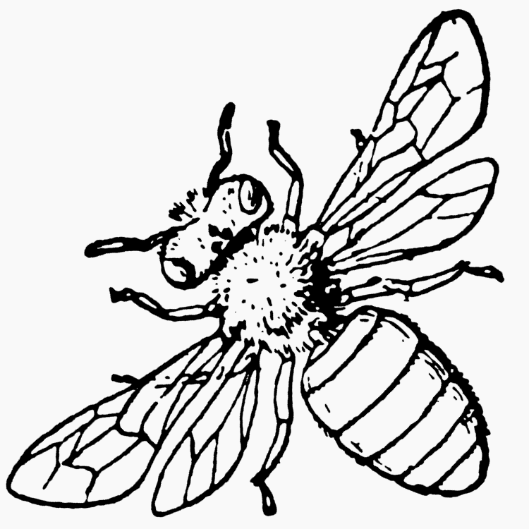 Sawmill Creek Apiaries